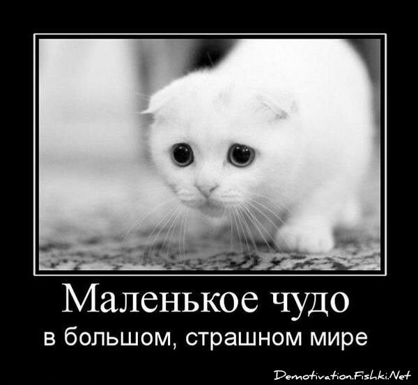 Демотиваторы, часть 63 (129 фото)