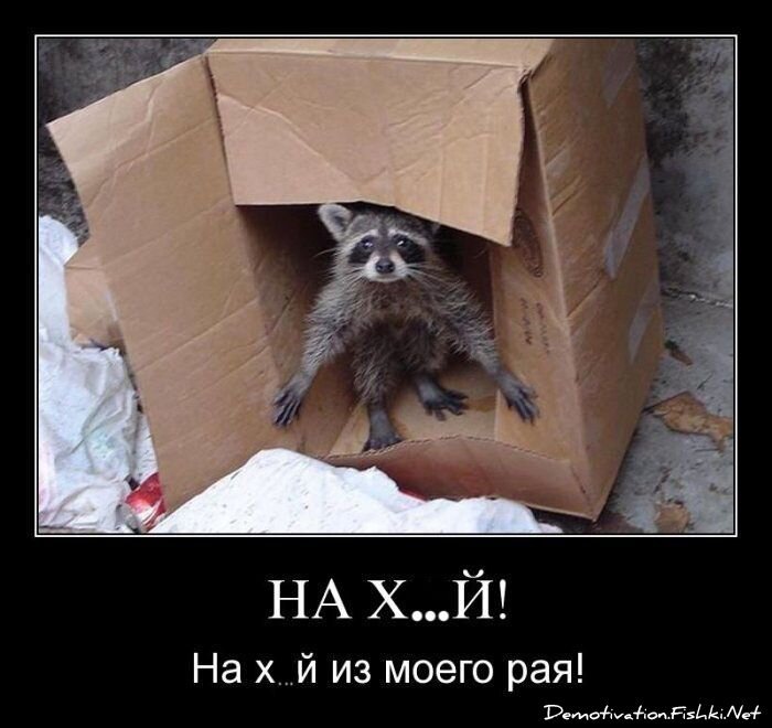 Смешной демотиватор от zubrilov за 16.07.2010 №57220