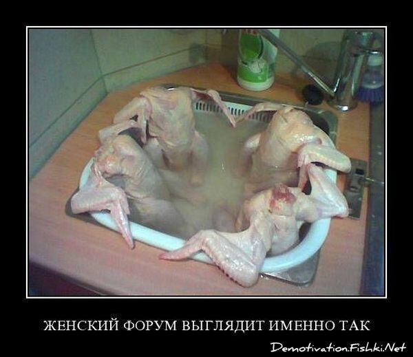 Смешной демотиватор от zubrilov за 16.07.2010 №57223