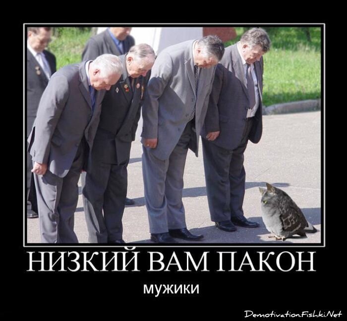 Смешной демотиватор от zubrilov за 16.07.2010 №57225