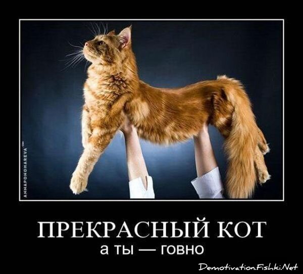 Смешной демотиватор от zubrilov за 16.07.2010 №57226