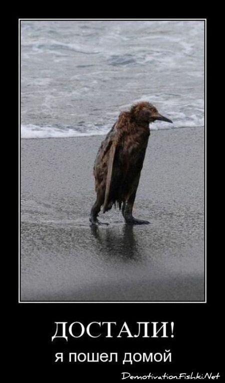 Смешной демотиватор от zubrilov за 16.07.2010 №57231