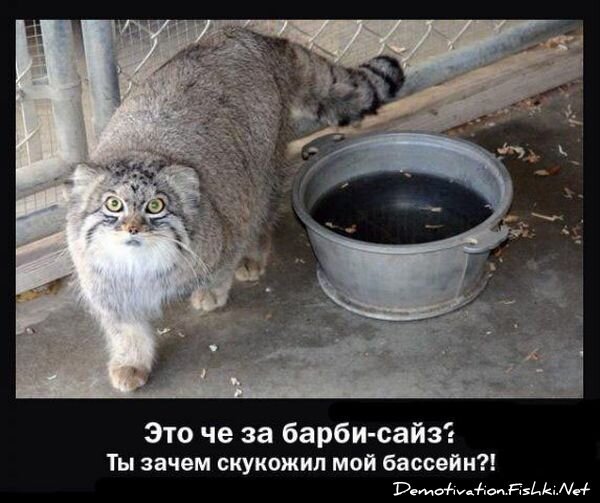 Смешной демотиватор от zubrilov за 16.07.2010 №57242