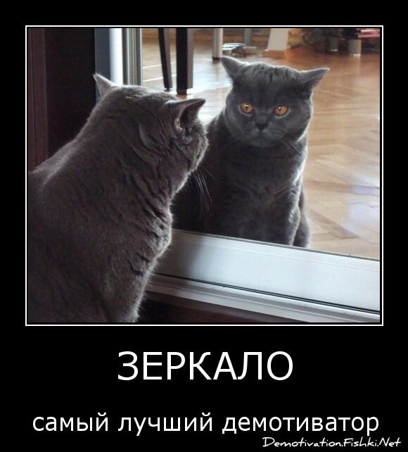 ЗЕРКАЛО