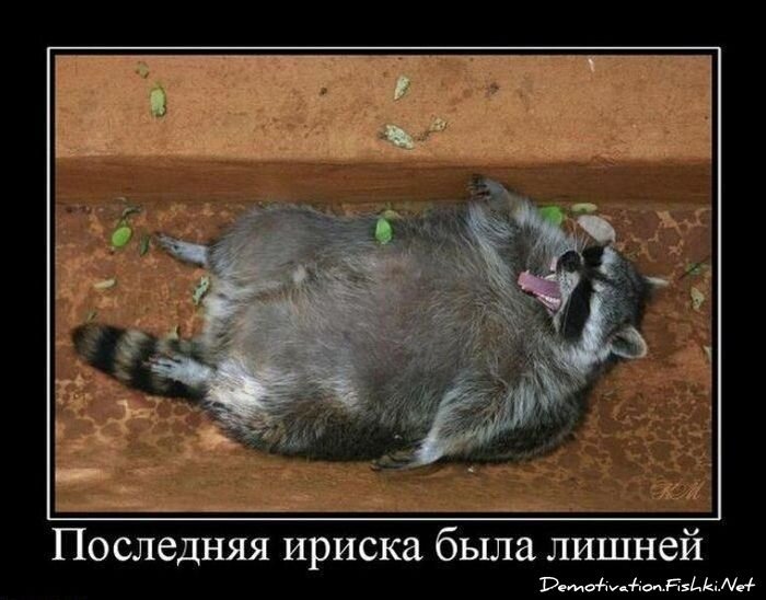 Смешной демотиватор от zubrilov за 23.07.2010 №57358