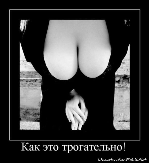 Смешной демотиватор от zubrilov за 23.07.2010 №57371