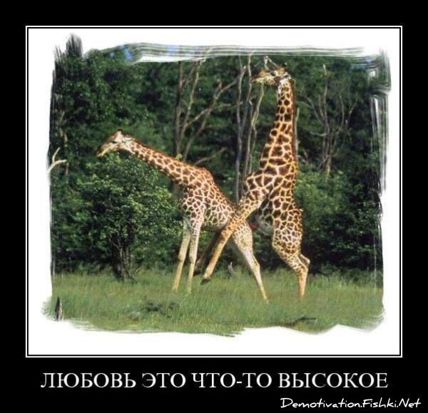 Смешной демотиватор от zubrilov за 23.07.2010 №57375