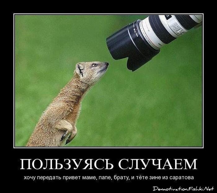 Смешной демотиватор от zubrilov за 23.07.2010 №57377