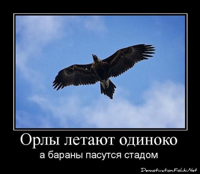 Смешной демотиватор от zubrilov за 23.07.2010 №57379