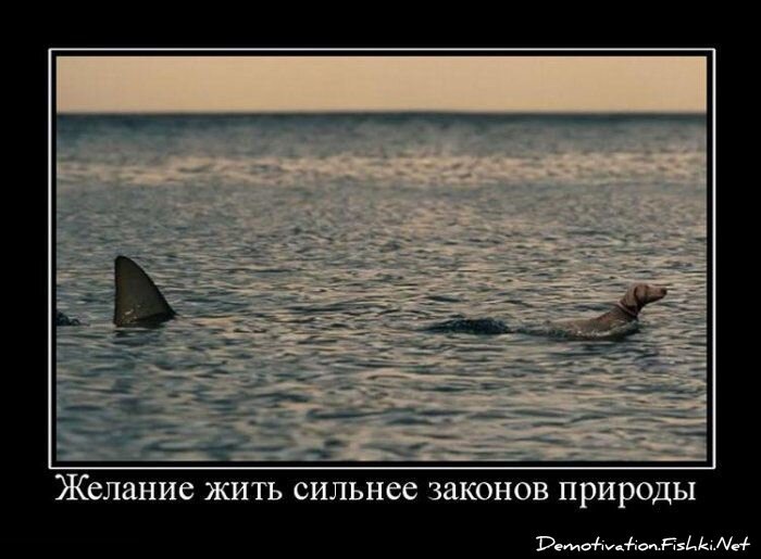 Смешной демотиватор от zubrilov за 23.07.2010 №57380