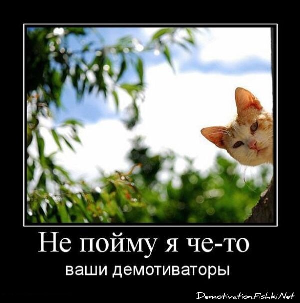 Смешной демотиватор от zubrilov за 23.07.2010 №57383