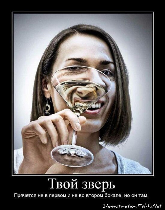 Смешной демотиватор от zubrilov за 23.07.2010 №57387