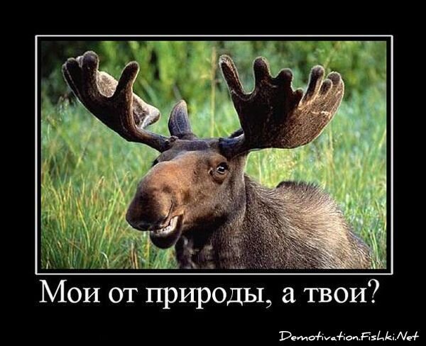 Демотиваторы, часть 64 (135 фото)