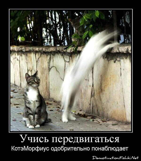 Смешной демотиватор от zubrilov за 23.07.2010 №57405