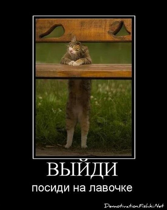 Смешной демотиватор от zubrilov за 23.07.2010 №57407