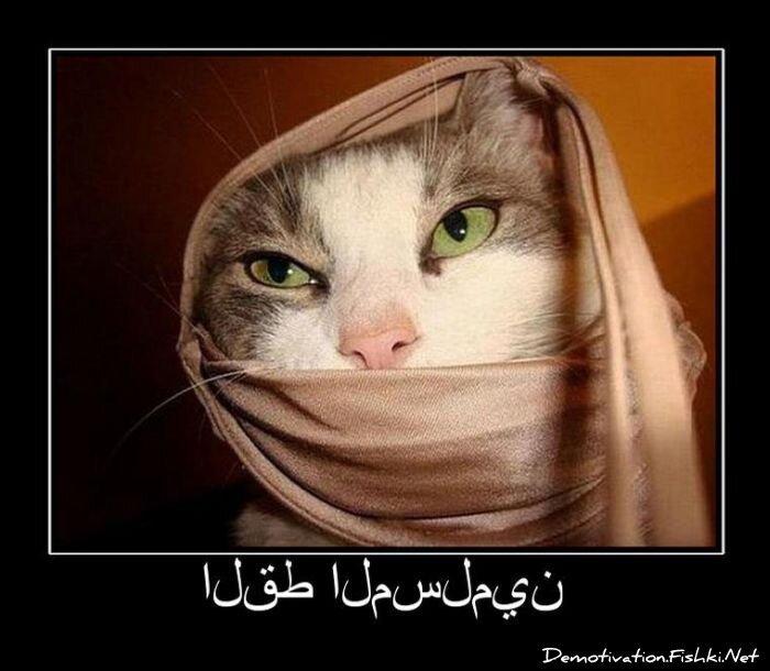 Смешной демотиватор от zubrilov за 23.07.2010 №57417