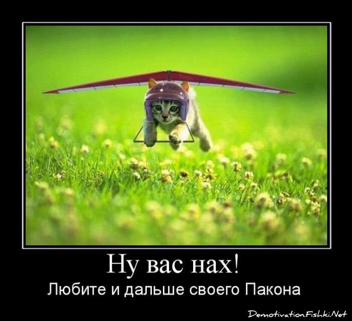 Смешной демотиватор от zubrilov за 23.07.2010 №57418