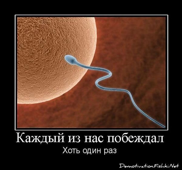 Смешной демотиватор от zubrilov за 23.07.2010 №57419