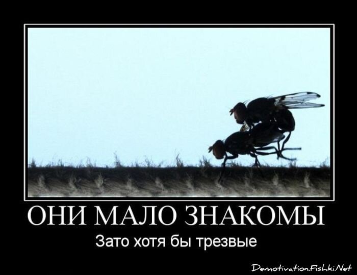 Демотиваторы, часть 64 (135 фото)