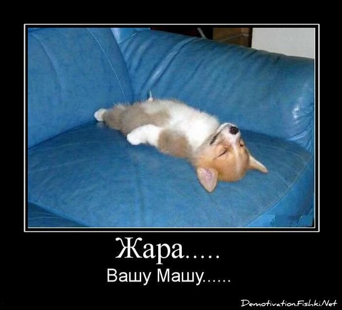 Смешной демотиватор от zubrilov за 23.07.2010 №57439