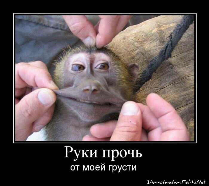 Смешной демотиватор от zubrilov за 23.07.2010 №57459