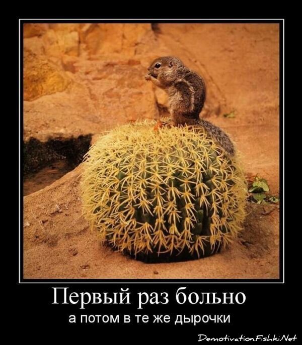 Смешной демотиватор от zubrilov за 23.07.2010 №57468