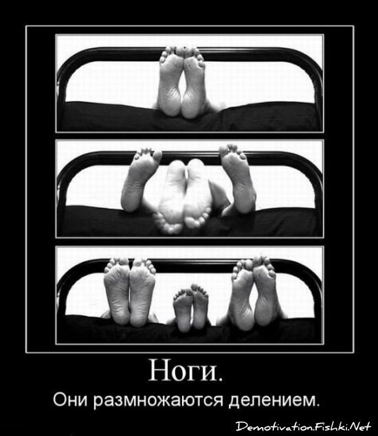 Смешной демотиватор от zubrilov за 23.07.2010 №57480