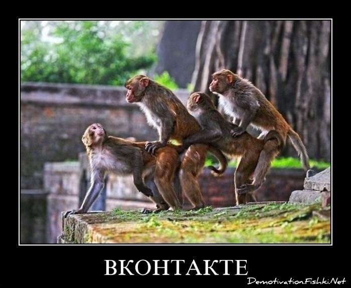 Смешной демотиватор от zubrilov за 23.07.2010 №57484