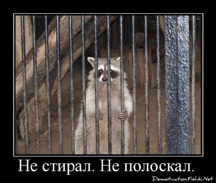 Демотиваторы, часть 64 (135 фото)