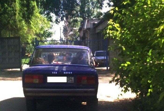 Волк в овечьей шкуре (11 фото)