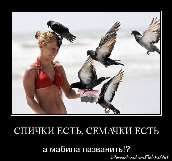 спички есть, семачки есть