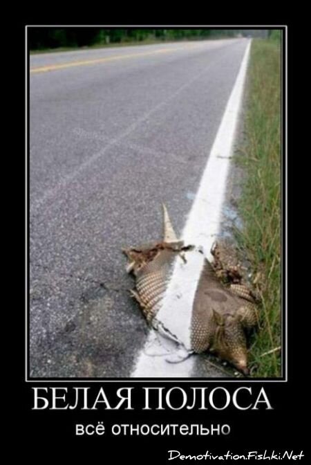 Смешной демотиватор от zubrilov за 30.07.2010 №57598