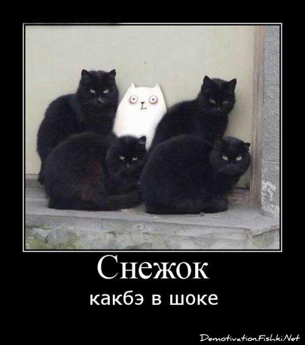 Смешной демотиватор от zubrilov за 30.07.2010 №57604