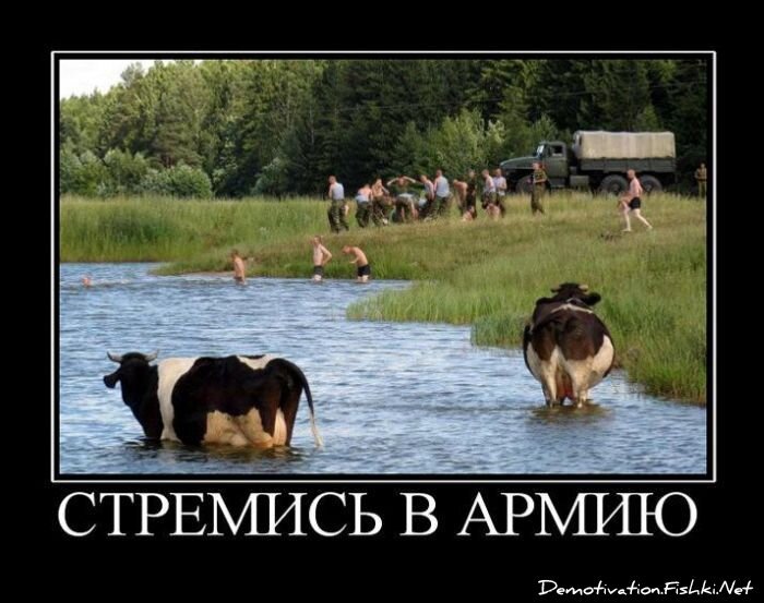 Смешной демотиватор от zubrilov за 30.07.2010 №57606