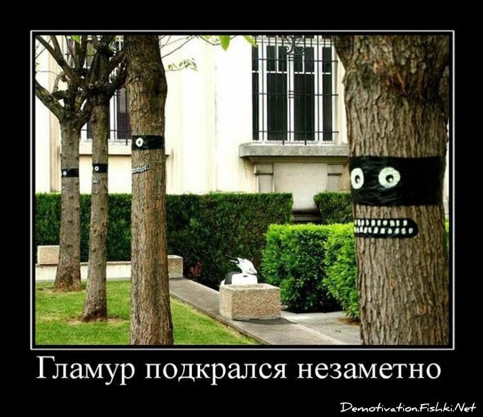 Смешной демотиватор от zubrilov за 30.07.2010 №57612