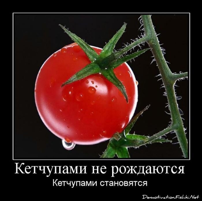 Смешной демотиватор от zubrilov за 30.07.2010 №57615