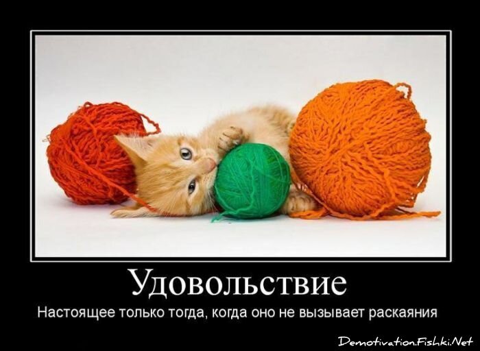 Смешной демотиватор от zubrilov за 30.07.2010 №57617