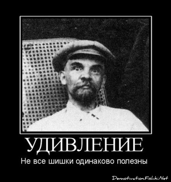 Демотиваторы, часть 65 (111 фото)