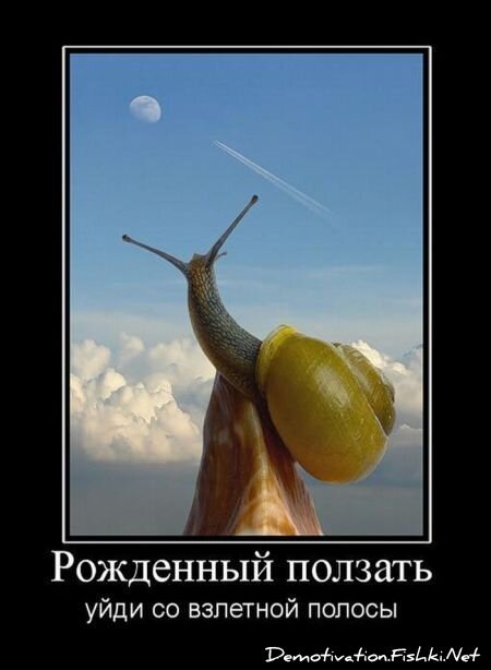 Демотиваторы, часть 65 (111 фото)