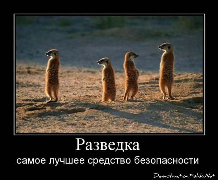Смешной демотиватор от zubrilov за 30.07.2010 №57646