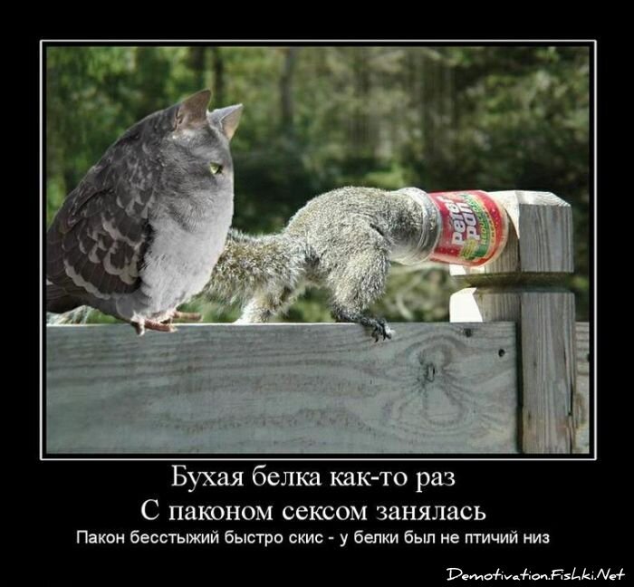 Демотиваторы, часть 65 (111 фото)