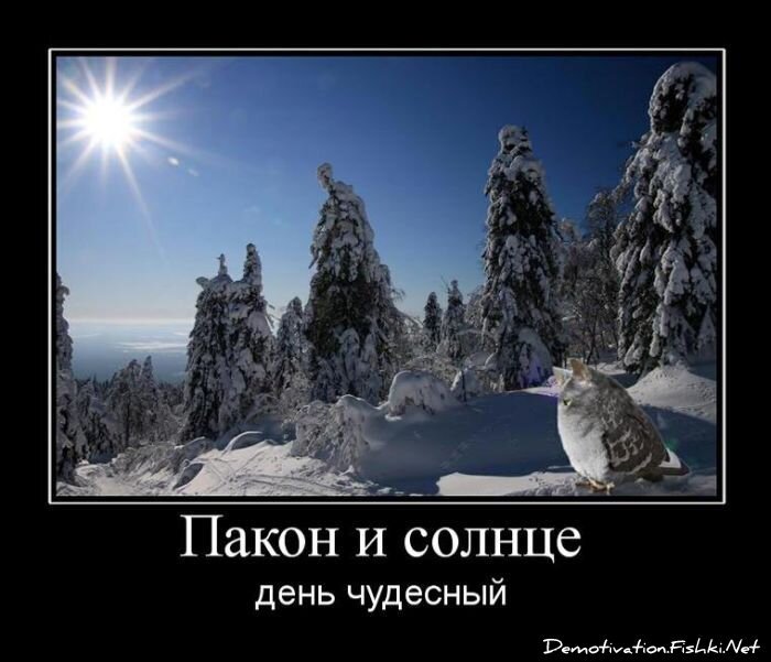 Демотиваторы, часть 65 (111 фото)