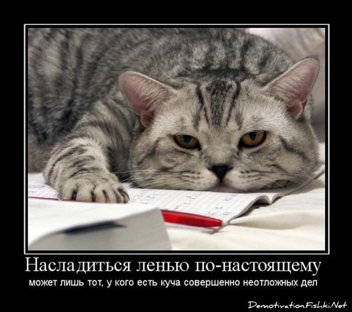 Смешной демотиватор от zubrilov за 30.07.2010 №57671