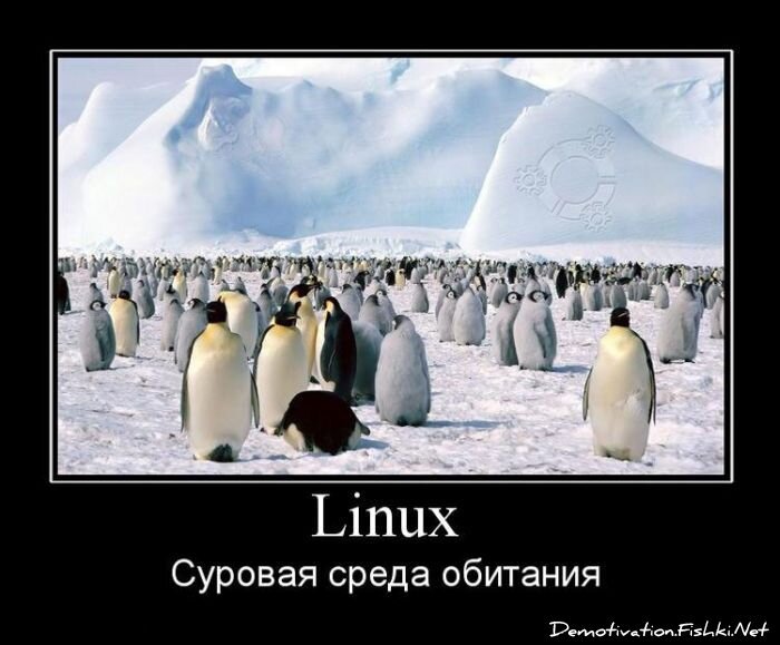 Смешной демотиватор от zubrilov за 30.07.2010 №57685