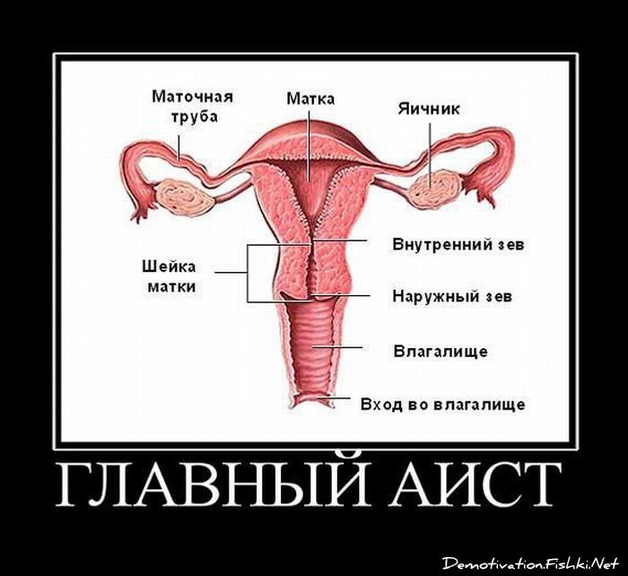 Смешной демотиватор от zubrilov за 30.07.2010 №57690
