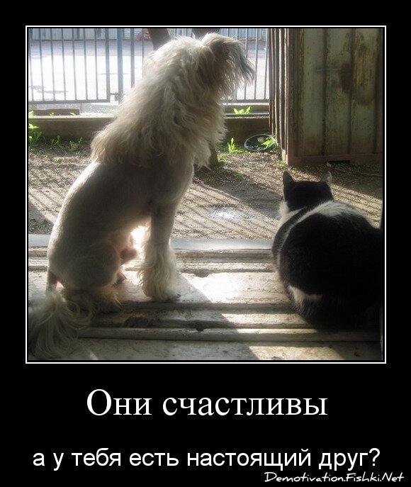 Они счастливы