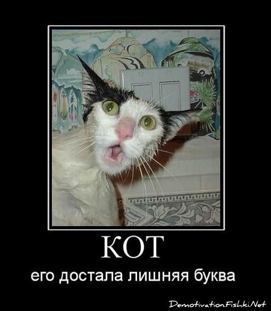 Смешной демотиватор от zubrilov за 06.08.2010 №57788