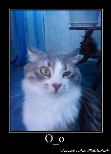 Смешной демотиватор от zubrilov за 06.08.2010 №57805