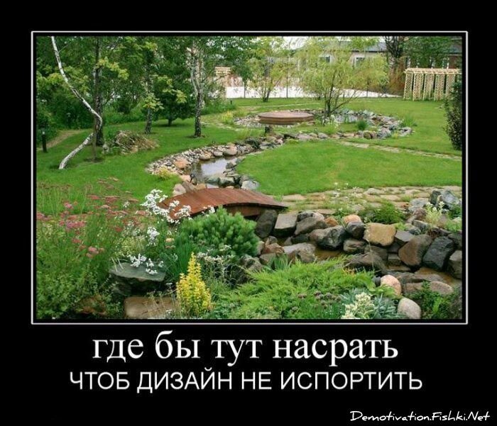 Смешной демотиватор от zubrilov за 06.08.2010 №57808