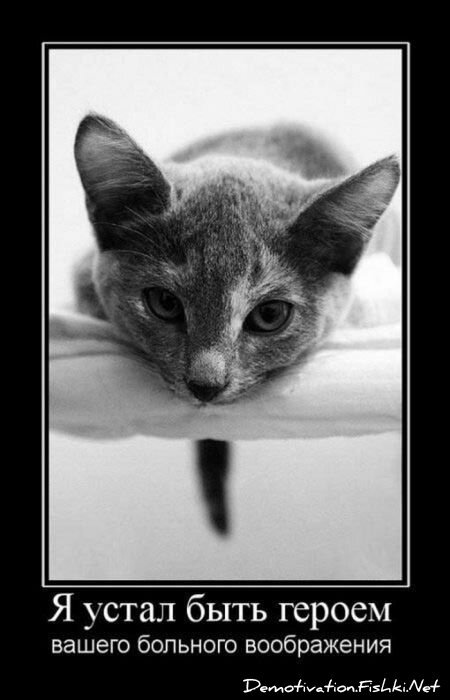 Смешной демотиватор от zubrilov за 06.08.2010 №57810